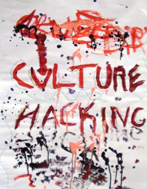 culturehacking